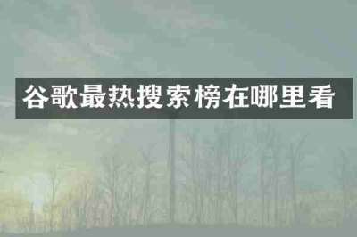 谷歌最热搜索榜在哪里看