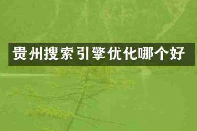 贵州搜索引擎优化哪个好