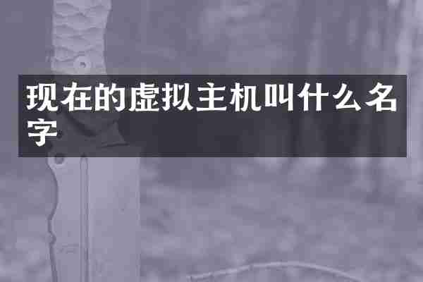 现在的虚拟主机叫什么名字