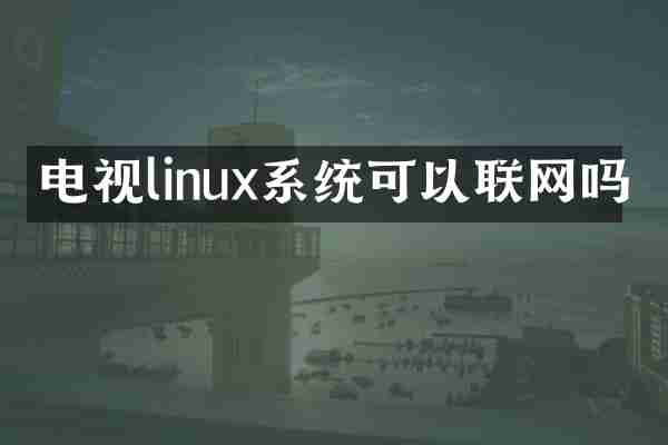 电视linux系统可以联网吗