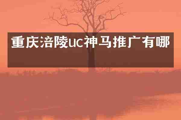 重庆涪陵uc神马推广有哪些