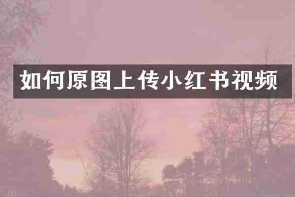 如何原图上传小红书视频