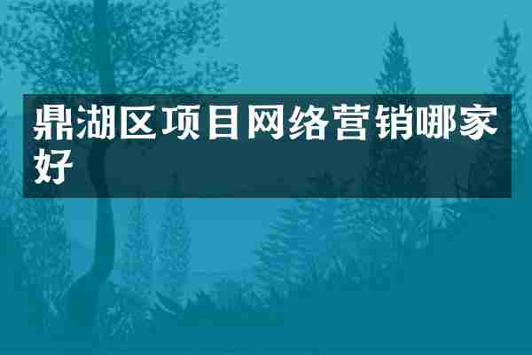 鼎湖区项目网络营销哪家好