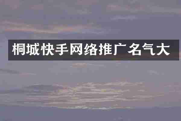 桐城快手网络推广名气大