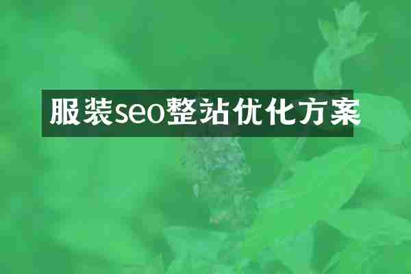 服装seo整站优化方案
