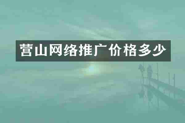 营山网络推广价格多少