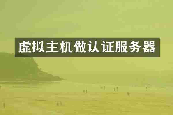 虚拟主机做认证服务器