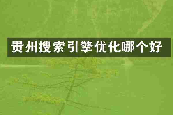 贵州搜索引擎优化哪个好