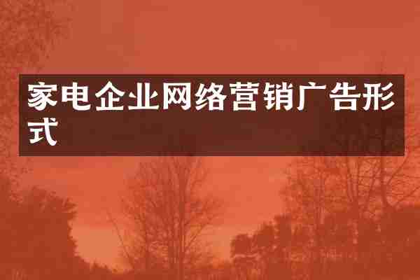 家电企业网络营销广告形式