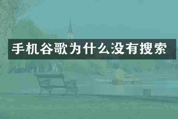 手机谷歌为什么没有搜索