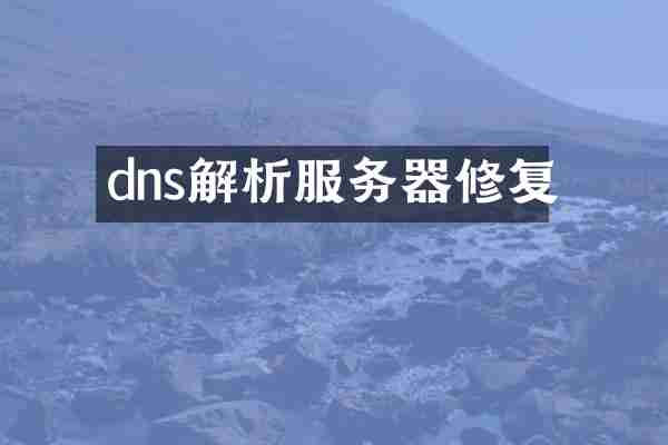 dns解析服务器修复