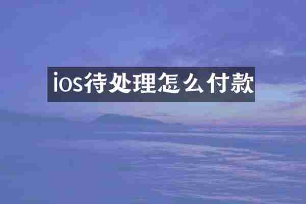 ios待处理怎么付款