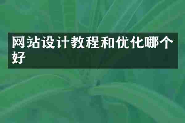 网站设计教程和优化哪个好