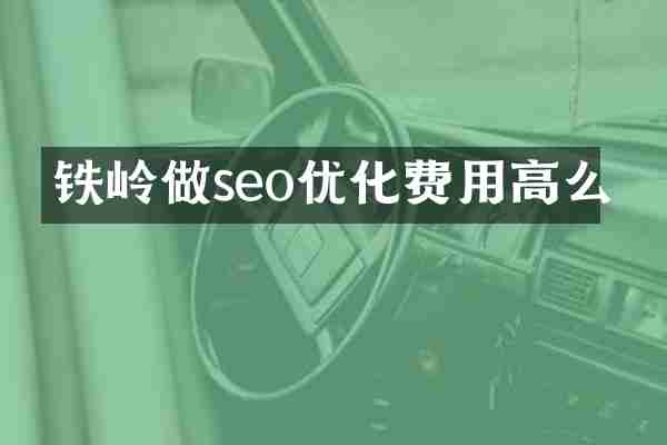 铁岭做seo优化费用高么