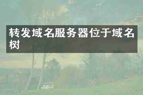 转发域名服务器位于域名树