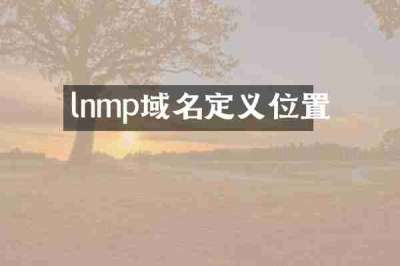 lnmp域名定义位置