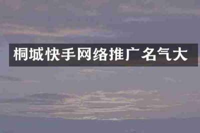 桐城快手网络推广名气大