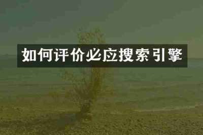 如何评价必应搜索引擎
