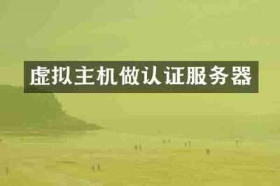 虚拟主机做认证服务器