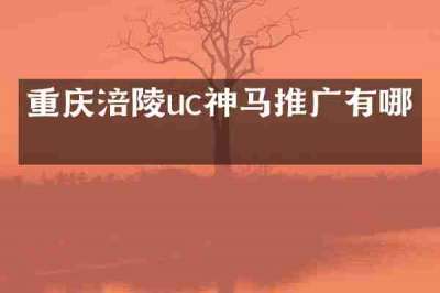 重庆涪陵uc神马推广有哪些