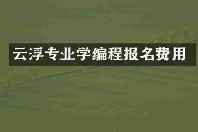 云浮专业学编程报名费用
