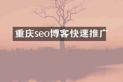 重庆seo博客快速推广
