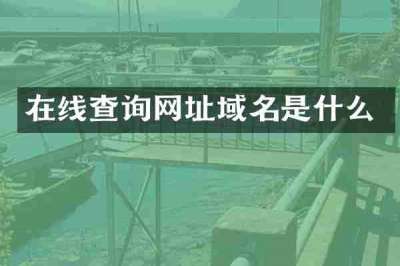 在线查询网址域名是什么