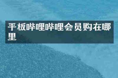 平板哔哩哔哩会员购在哪里