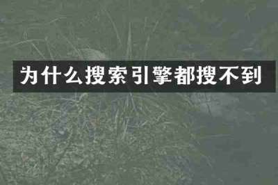 为什么搜索引擎都搜不到