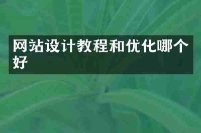 网站设计教程和优化哪个好