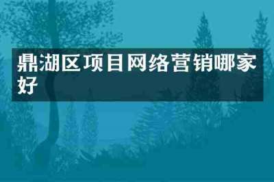 鼎湖区项目网络营销哪家好