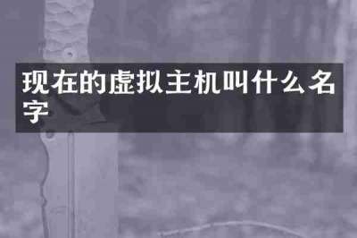 现在的虚拟主机叫什么名字