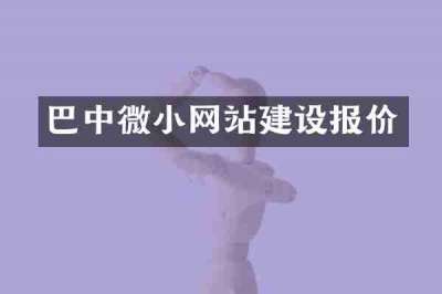 巴中微小网站建设报价