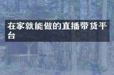 在家就能做的直播带货平台