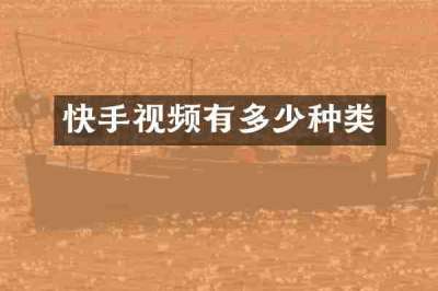 快手视频有多少种类