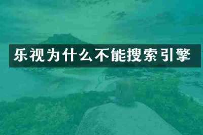 乐视为什么不能搜索引擎