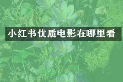 小红书优质电影在哪里看