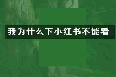 我为什么下小红书不能看