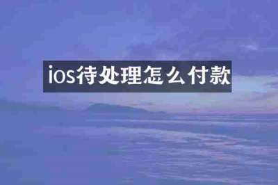 ios待处理怎么付款