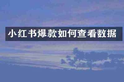 小红书爆款如何查看数据
