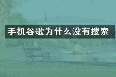 手机谷歌为什么没有搜索