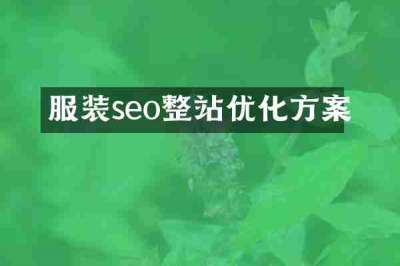 服装seo整站优化方案