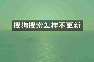 搜狗搜索怎样不更新