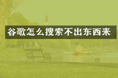谷歌怎么搜索不出东西来