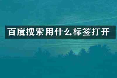 百度搜索用什么标签打开