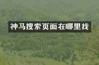 神马搜索页面在哪里找