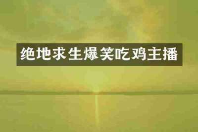绝地求生爆笑吃鸡主播