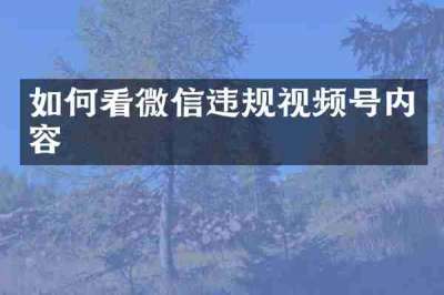 如何看微信违规视频号内容