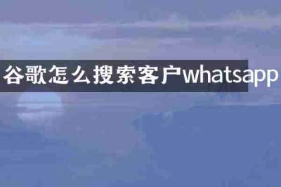 谷歌怎么搜索客户whatsapp