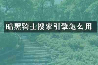 暗黑骑士搜索引擎怎么用